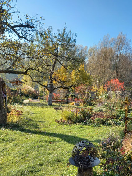 Unser Hunde-Gartenparadies