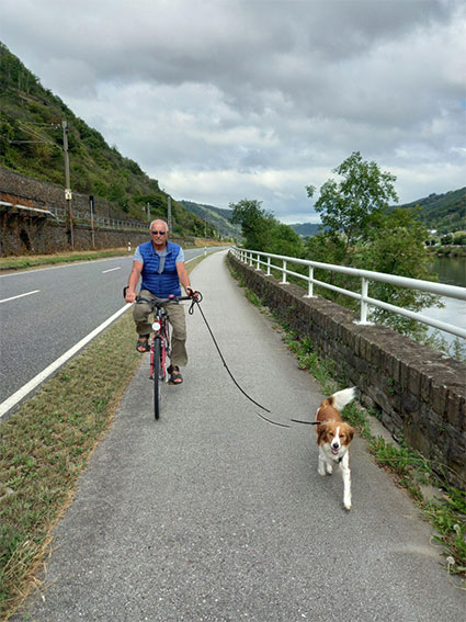 Kooikerhondje Lilly beim Radfahren