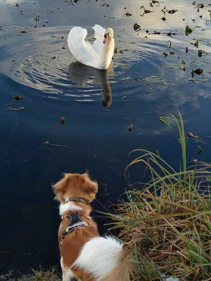 Lilly am Wasser